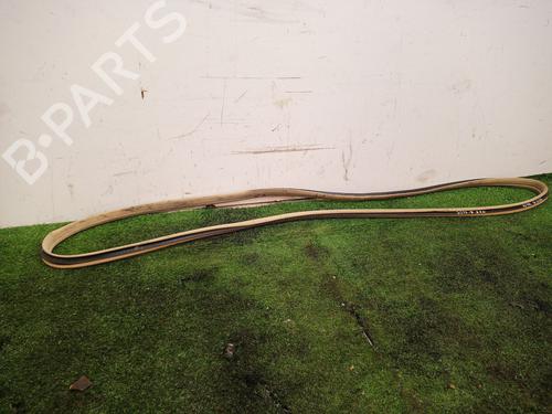 Rubber door seal BMW 7 (E65, E66, E67)  | BP17972447C142 