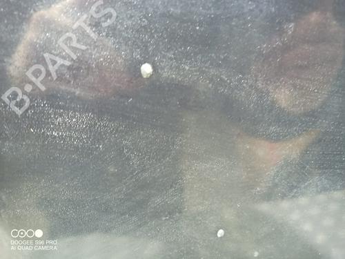 Hood BMW 3 (E90) 316 d | BP11716598C1