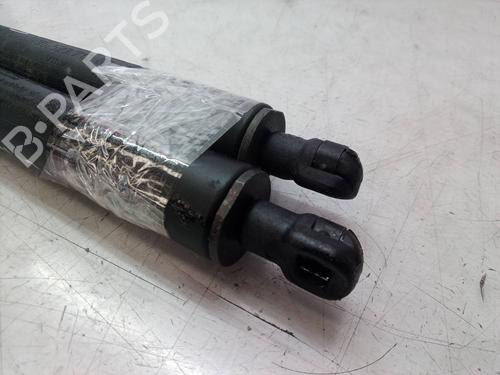 Tailgate lift support PEUGEOT 307 CC (3B) 1.6 16V | BP14304047C138 