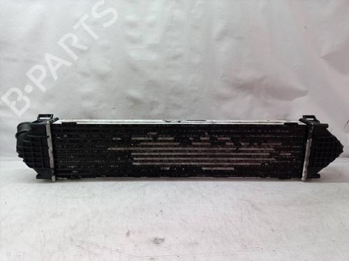 Intercooler FORD GALAXY II (WA6) 2.0 TDCi | BP9093416M30 