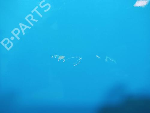 Left front door FORD TAUNUS (GBTS, GBFS, CBTS)  | BP13554199C2 