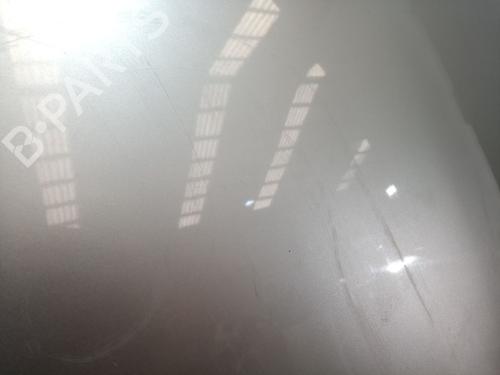 Hood TATA INDICA 1.4 | BP20689359C1