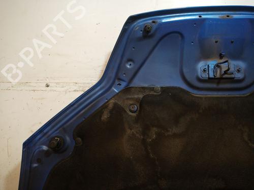 Hood RENAULT LAGUNA III (BT0/1) 2.0 dCi GT (BT11, BT1E, BT1N) | BP29180979C1 