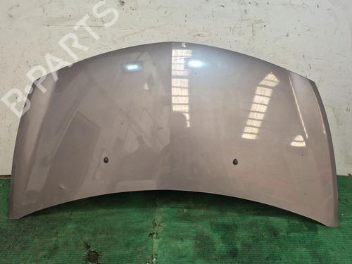Used Hood RENAULT CLIO III (BR0/1, CR0/1) 1.2 16V (BR02, BR0J, BR11, CR02, CR0J, CR11) (75 hp) 28705471