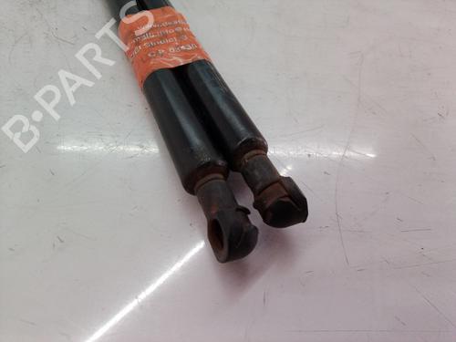 Tailgate lift support BMW X5 (E53)  | BP14304035C138 