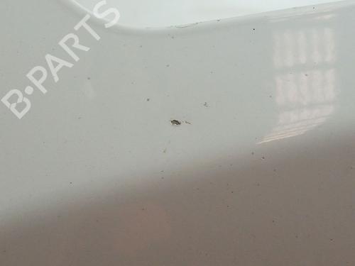 Hood CHEVROLET CRUZE (J300) 2.0 CDI | BP30168717C1 