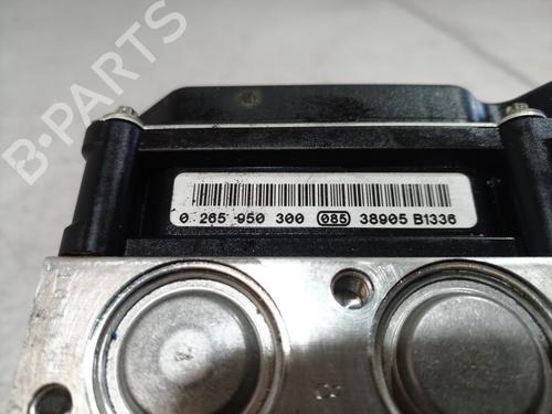 ABS pump RENAULT MEGANE II (BM0/1_, CM0/1_)  | BP10041172M43 