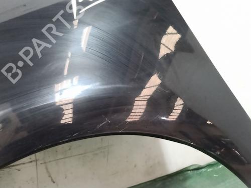 Left front fenders CITROËN C4 Picasso I MPV (UD_) 1.6 HDi 110 | BP28167705C41 