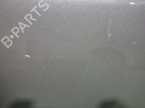 Left front door RENAULT MEGANE II (BM0/1_, CM0/1_) 2.0 dCi (BM1K, CM1K) | BP29019494C2 