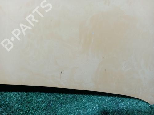 Hood RENAULT TRAFIC II Platform/Chassis (EL) 1.9 dCi 80 (FL0B) | BP16574193C1 