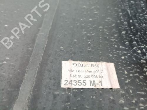 Left front fenders CITROËN C4 Picasso I MPV (UD_) 2.0 HDi 165 | BP27358116C41 