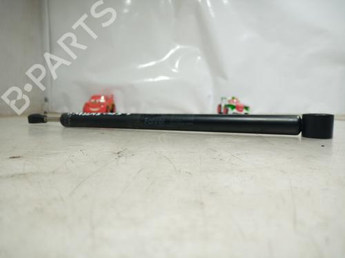 Hinge/Door check strap MERCEDES-BENZ S-CLASS (W221, V221)  | BP14304447C146 