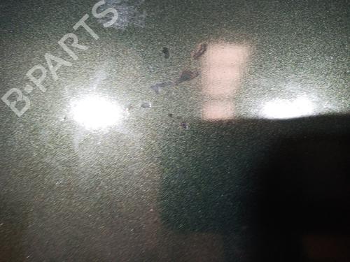 Hood LAND ROVER FREELANDER I (L314) 2.0 DI 4x4 | BP11937163C1 