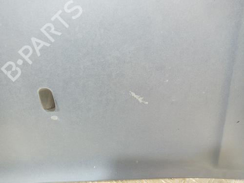 Hood FORD TOURNEO CONNECT  | BP11332288C1 