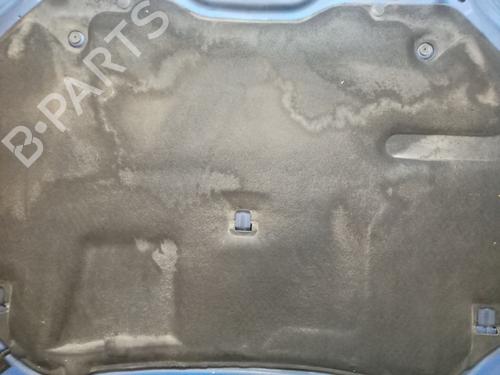 Hood RENAULT LAGUNA III (BT0/1) 2.0 dCi GT (BT11, BT1E, BT1N) | BP29180979C1 
