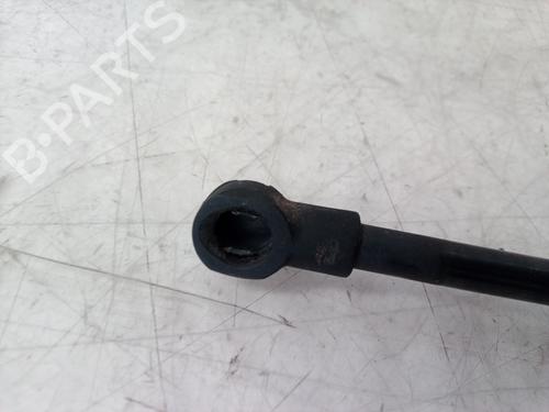 Hood lift support AUDI A3 (8L1)  | BP14303953C139 