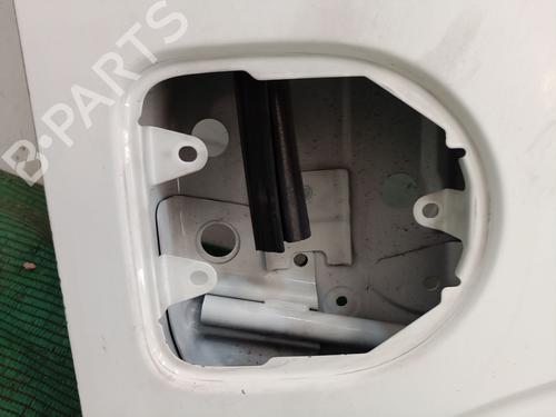 Right front door NISSAN CABSTAR E (TL_, VL_)  | BP25005619C3 