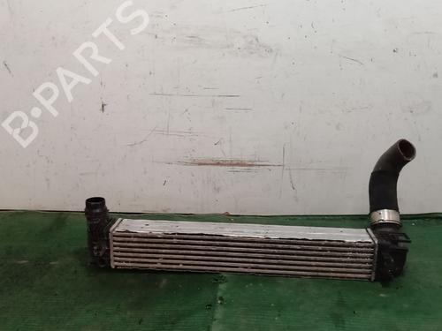 Intercooler RENAULT MEGANE III Hatchback (BZ0/1_, B3_) [2008-2025]  27833326