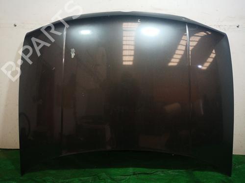 Used Hood VW GOLF IV (1J1) 1.9 TDI (115 hp) 25722876
