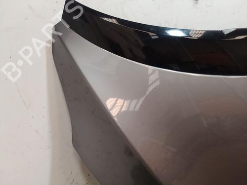 Hood RENAULT SCÉNIC III (JZ0/1_)  | BP22354284C1 