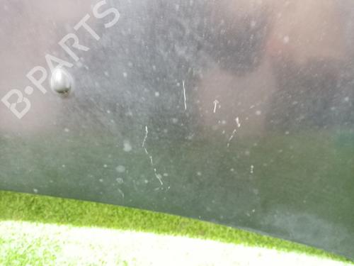 Hood RENAULT CLIO III (BR0/1, CR0/1) 1.2 16V (BR02, BR0J, BR11, CR02, CR0J, CR11) | BP16929361C1 