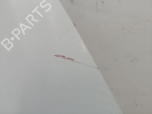 Right front door NISSAN CABSTAR E (TL_, VL_)  | BP25005619C3 