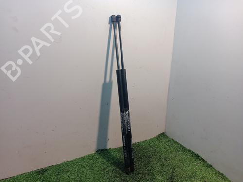 Tailgate lift support CHRYSLER VOYAGER / GRAND VOYAGER IV (RG) 2.5 CRD | BP16074169C138 