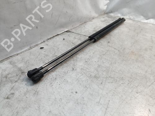 Tailgate lift support MERCEDES-BENZ M-CLASS (W163)  | BP14304484C138 