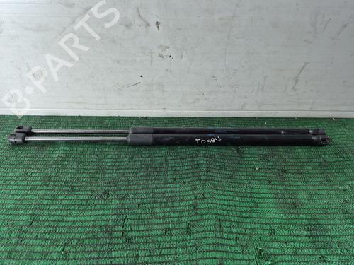 Used Tailgate lift support Tailgate lift support FIAT 500L (351_, 352_) 1.3 D Multijet (199.LYM11, 199.LYM1A) (95 hp) 34504524 34504524