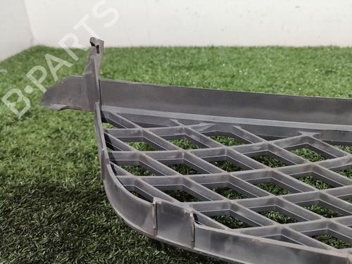 Grille FORD FIESTA V (JH_, JD_) ST150 | BP21788952C40 