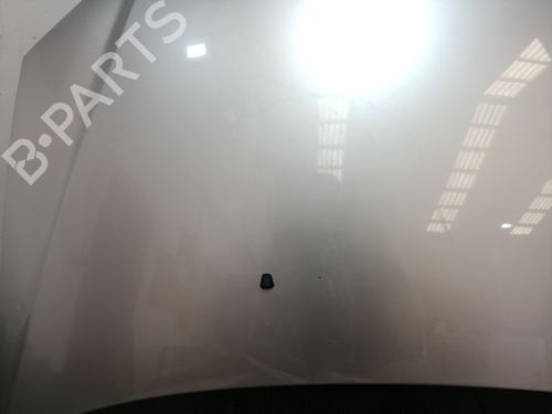 Hood TATA INDICA 1.4 | BP20689359C1