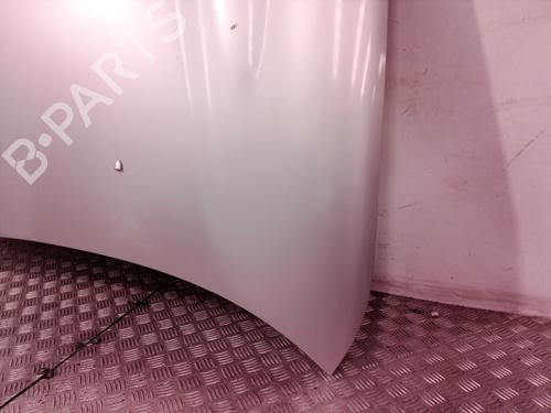 Hood JAGUAR S-TYPE II (X200) 3.0 V6 | BP8651725C1 