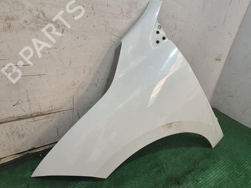 Left front fenders RENAULT MEGANE III Hatchback (BZ0/1_, B3_)  | BP29641060C41 