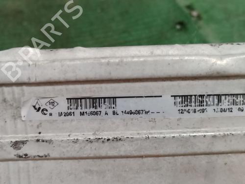 Intercooler RENAULT MEGANE III Hatchback (BZ0/1_, B3_)  | BP27833326M30 