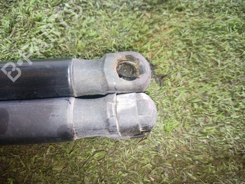 Tailgate lift support HYUNDAI i20 I (PB, PBT) 1.2 | BP24843157C138