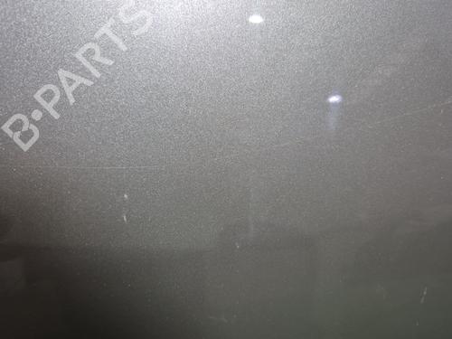 Left front door RENAULT MEGANE II (BM0/1_, CM0/1_) 2.0 dCi (BM1K, CM1K) | BP29019494C2 