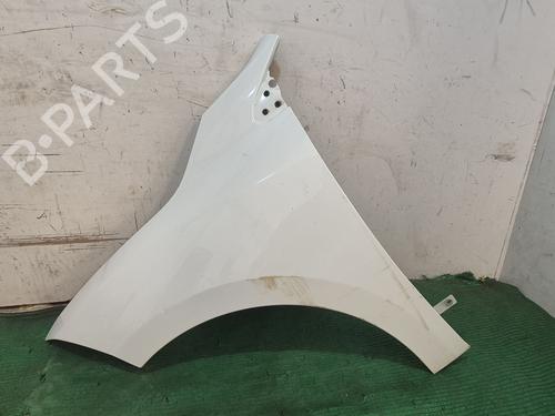 Used Left front fenders RENAULT MEGANE III Hatchback (BZ0/1_, B3_) [2008-2025]  29641060