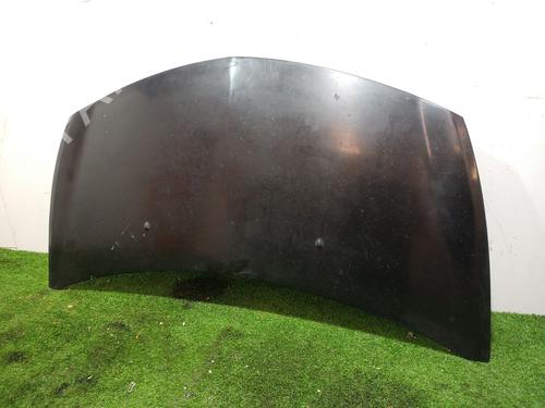 Hood RENAULT CLIO III (BR0/1, CR0/1) 1.2 16V (BR02, BR0J, BR11, CR02, CR0J, CR11) | BP16929361C1 