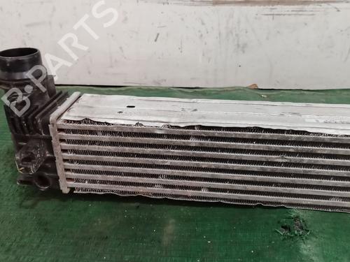 Intercooler RENAULT MEGANE III Hatchback (BZ0/1_, B3_)  | BP27833326M30 