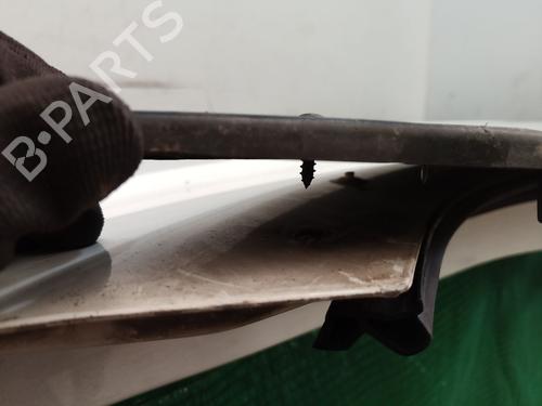 Right front door NISSAN CABSTAR E (TL_, VL_)  | BP25005619C3 