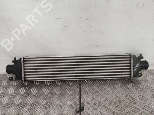 Used Intercooler FIAT DOBLO Cargo (263_) 1.3 D Multijet (90 hp) 8401503