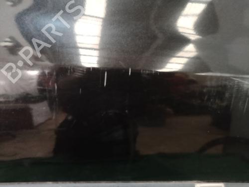 Right front door RENAULT CLIO III (BR0/1, CR0/1) 1.2 16V (BR02, BR0J, BR11, CR02, CR0J, CR11) | BP25936479C3 