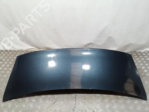 Tailgate VW PASSAT B6 (3C2) 2.0 TDI 16V | BP11177025C6 