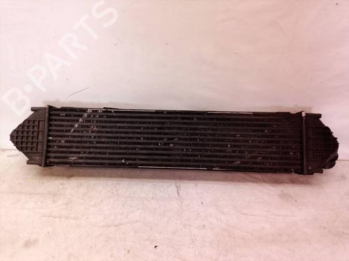 Intercooler FORD S-MAX (WA6) 2.0 TDCi (140 hp) 8110676