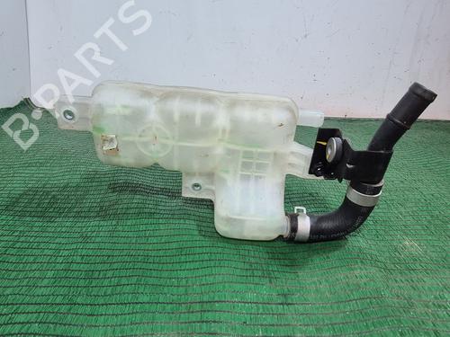 Expansion tank HYUNDAI IONIQ (AE) 1.6 GDI Hybrid | BP29250751C120 