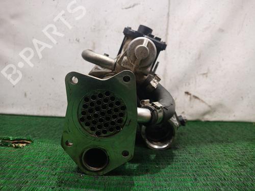 Egr RENAULT KANGOO Express (FW0/1_) 1.5 dCi 90 (FW0G, FW05, FW08, FW11) | BP30154770M69 