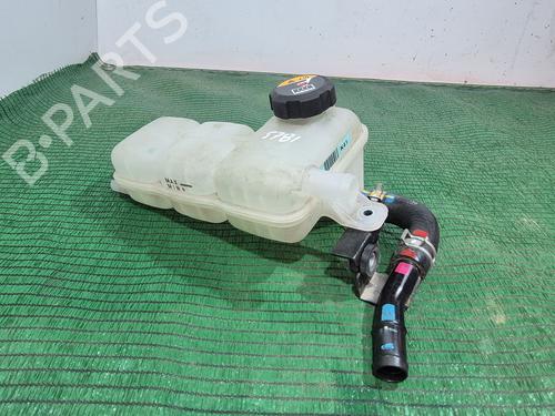 Used Expansion tank HYUNDAI IONIQ (AE) 1.6 GDI Hybrid (105 hp) 29250751