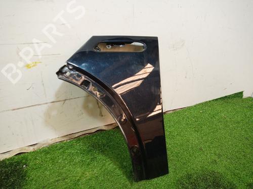 Left front fenders MINI MINI (R50, R53) One | BP17492260C41 