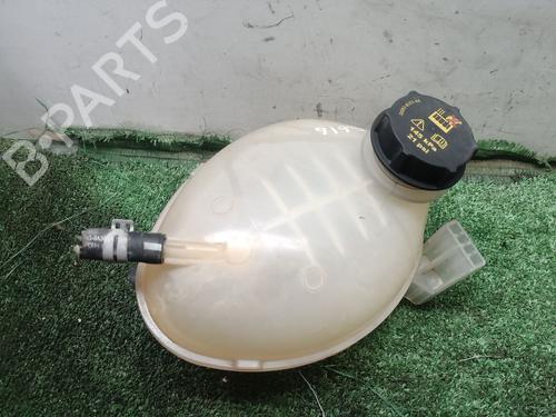 Used Expansion tank FORD FIESTA VII (HJ, HF) 1.0 EcoBoost (95 hp) 25710612