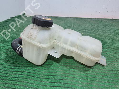Expansion tank HYUNDAI IONIQ (AE) 1.6 GDI Hybrid | BP29250751C120 